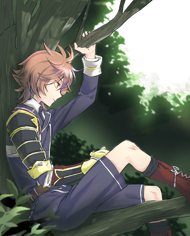 1boy armor boots brown_eyes brown_hair cross-laced_footwear gotou_toushirou in_tree japanese_armor kuronomine lace-up_boots looking_down male_focus military military_uniform necktie profile shorts sitting sode touken_ranbu tree uniform