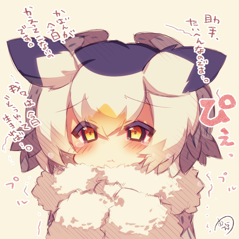 1girl :t bangs black_hair blush brown_eyes chibi closed_mouth eyebrows_visible_through_hair fur-trimmed_sleeves fur_collar fur_trim grey_coat hair_between_eyes head_wings kemono_friends looking_at_viewer multicolored_hair muuran northern_white-faced_owl_(kemono_friends) orange_hair pout signature solo tears translation_request trembling white_hair