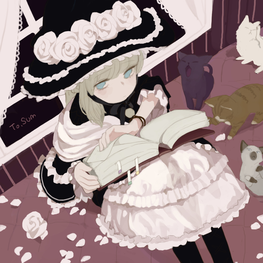 1girl black_dress black_hat blue_eyes book bracelet cat closed_mouth doremi dress eyebrows_visible_through_hair feet_out_of_frame flower frilled_dress frilled_hat frills grey_hair hat hat_flower holding holding_book jewelry looking_at_viewer open_book original pantyhose petals rose rose_petals sitting solo white_flower white_rose