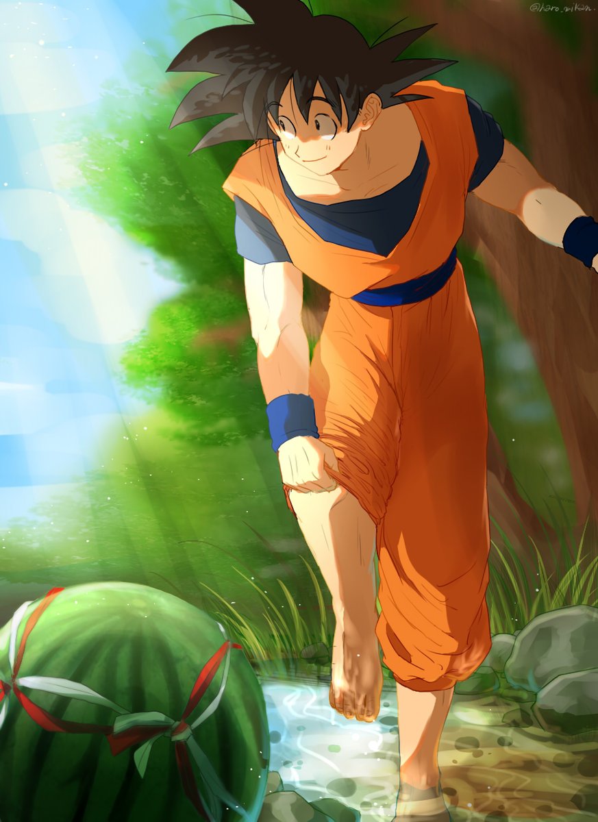 1boy barefoot black_eyes black_hair day dougi dragon_ball dragonball_z food fruit grass happy highres looking_away male_focus one_leg_raised outdoors river rock shaded_face short_hair sky smile son_gokuu spiky_hair standing sunlight tree twitter_username water watermelon wristband