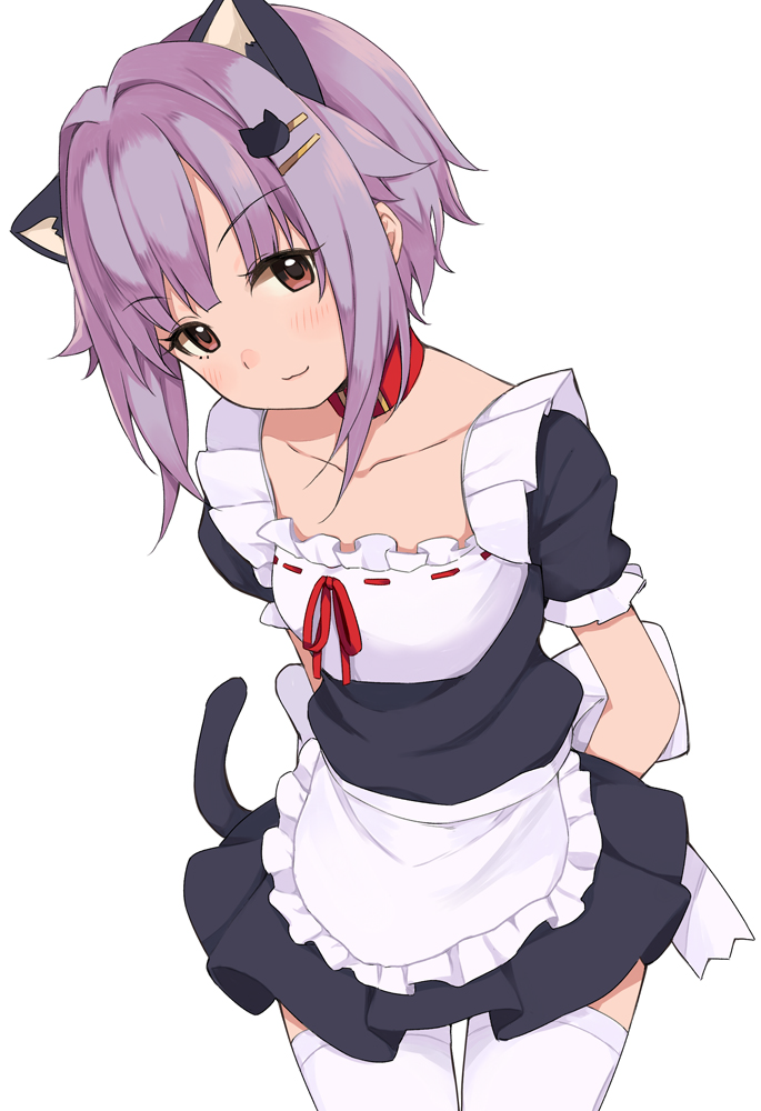 1girl alternate_costume animal_ears apron arms_behind_back brown_eyes cat_ears cat_hair_ornament cat_tail collar enmaided eyebrows_visible_through_hair hair_ornament hairpin idolmaster idolmaster_cinderella_girls kirarin369 koshimizu_sachiko looking_at_viewer maid purple_hair short_hair short_sleeves simple_background solo standing tail thigh-highs white_background white_legwear