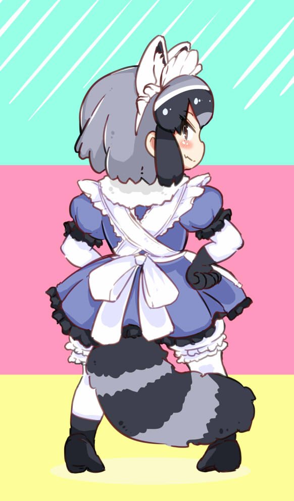 1girl adapted_costume alternate_costume animal_ears apron back_bow black_hair bow commentary_request common_raccoon_(kemono_friends) dress elbow_gloves enmaided eyebrows_visible_through_hair fur_collar gloves grey_hair kemono_friends maid maid_apron maid_headdress multicolored_hair pantyhose puffy_sleeves raccoon_ears raccoon_tail shima_noji_(dash_plus) short_hair solo tail