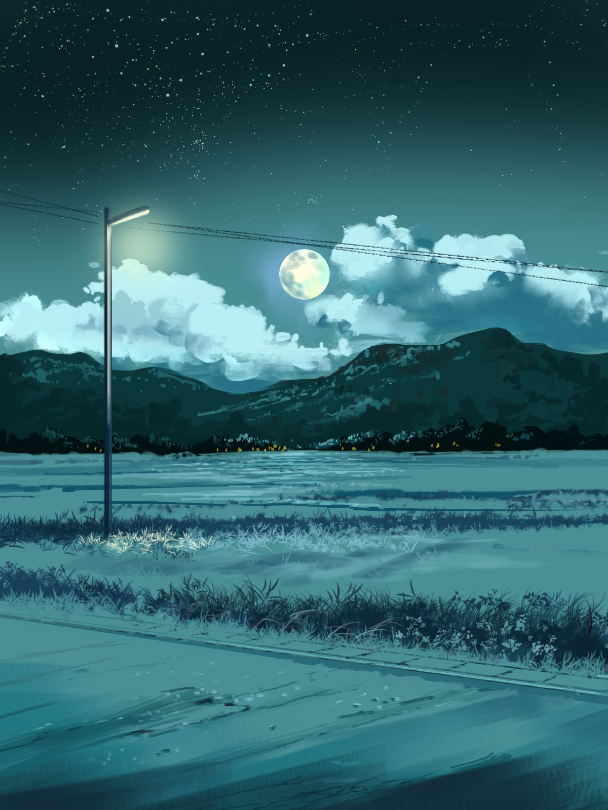 anchoku_0621 clouds commentary_request full_moon highres lamppost moon mountain mountainous_horizon night night_sky no_humans original outdoors power_lines rice_paddy scenery sky star_(sky) starry_sky