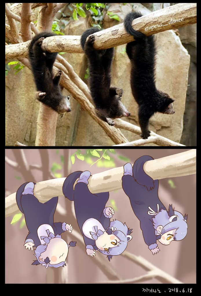 :3 binturong binturong_(kemono_friends) binturong_ears binturong_tail blush_stickers bow bowtie branch child commentary_request grey_hair hanging kemono_friends korean_commentary low_twintails prehensile_tail reference_photo roonhee short_hair tail tail_wrap twintails upside-down yellow_eyes