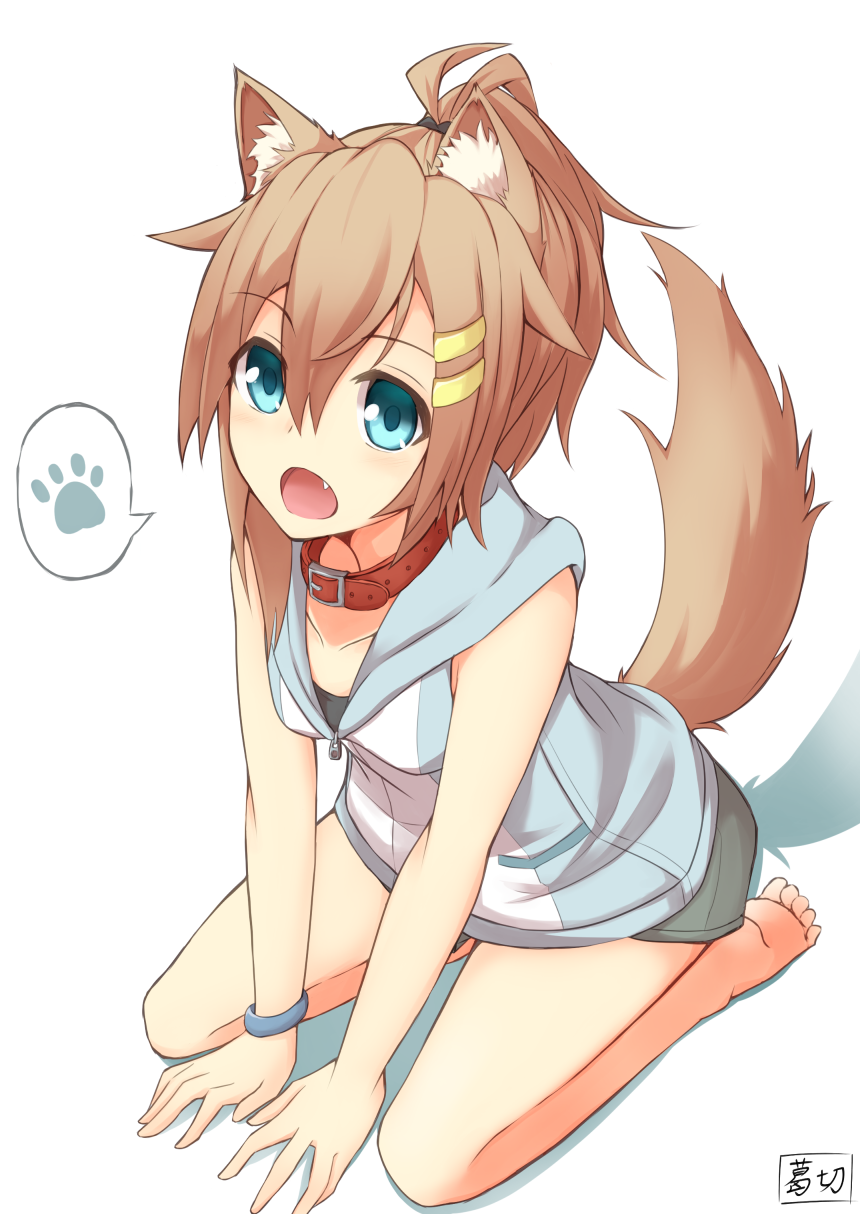 1girl animal_ears bare_shoulders barefoot blue_eyes bracelet breasts brown_hair collar collarbone commentary_request dog_ears dog_tail eyebrows_visible_through_hair fang folded_hair hair_between_eyes hair_ornament hairclip highres hood hoodie jewelry kuzukiri_(riezenagel) open_mouth original red_collar seiza simple_background sitting sleeveless sleeveless_hoodie small_breasts solo tail