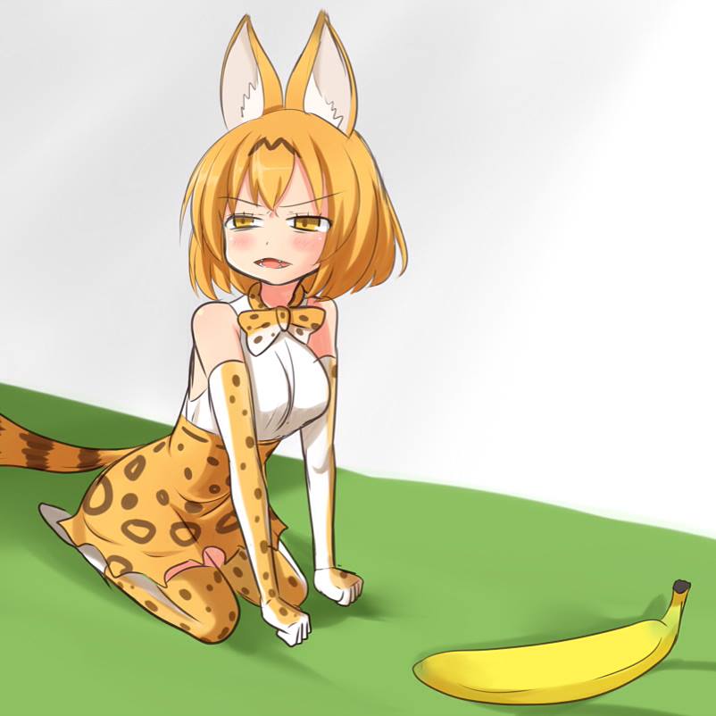 1girl :3 animal_ears banana bangs bare_shoulders blush bob_cut bow bowtie breasts brown_hair clenched_hands commentary_request elbow_gloves eyebrows_visible_through_hair fangs food from_side fruit gloves half-closed_eyes high-waist_skirt kemono_friends large_breasts looking_to_the_side meme multicolored_hair open_mouth orange_eyes orange_gloves orange_hair orange_legwear orange_neckwear orange_skirt parody photo-referenced print_gloves print_legwear print_neckwear print_skirt real_life seiza serval_(kemono_friends) serval_ears serval_girl serval_print serval_tail setia_pradipta shirt short_hair sitting skirt sleeveless sleeveless_shirt solo streaked_hair tail thigh-highs two-tone_hair v-shaped_eyebrows white_footwear white_shirt