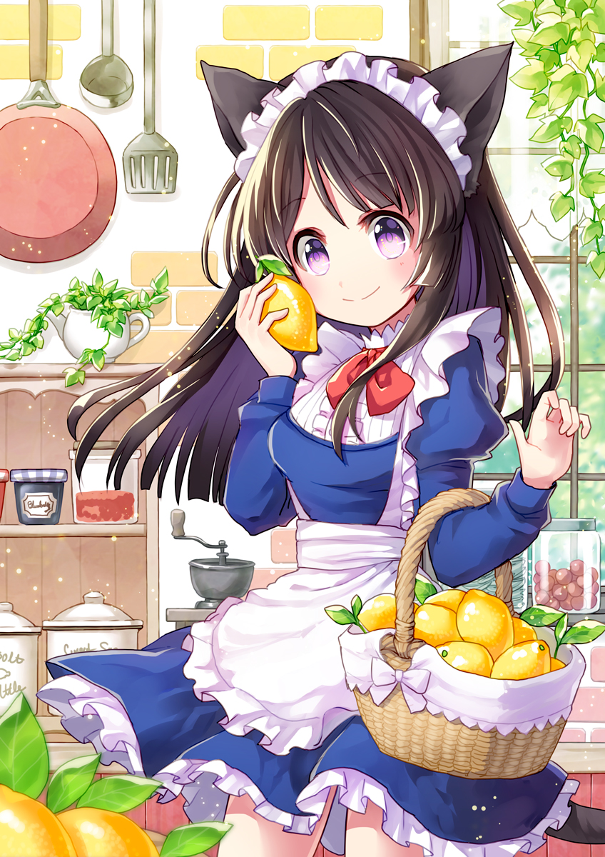 1girl animal_ears apron bangs basket black_hair blue_dress bow bowtie cat_ears cat_tail coconat_summer coffee_grinder commentary_request dress eyebrows_visible_through_hair food fruit frying_pan highres holding holding_fruit indoors jar juliet_sleeves kettle ladle lemon long_hair long_sleeves looking_at_viewer maid object_to_cheek original plant potted_plant puffy_sleeves red_neckwear smile solo spatula tail violet_eyes waist_apron white_apron window