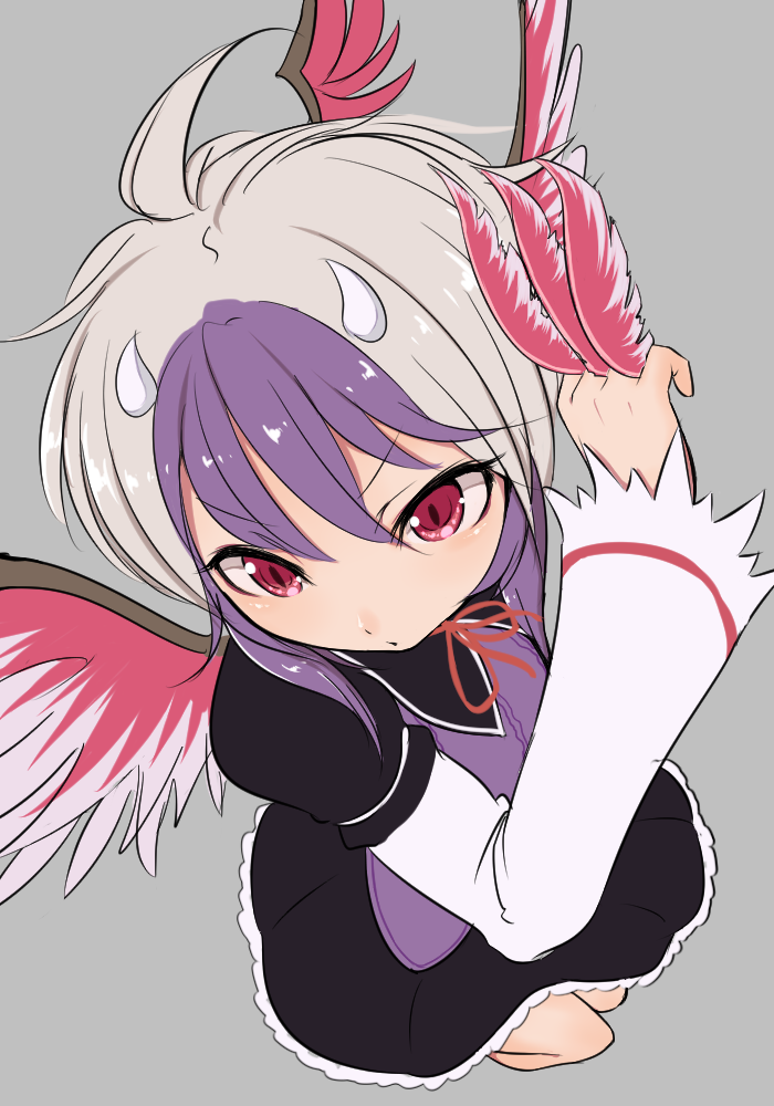 1girl ahoge between_fingers black_dress blush chestnut_mouth dress eyebrows_visible_through_hair eyelashes feathered_wings feathers fighting_stance foreshortening from_above grey_background head_wings long_sleeves looking_down marsen multicolored multicolored_hair multicolored_wings purple_hair red_eyes red_wings short_hair silver_hair simple_background single_head_wing solo tokiko_(touhou) touhou two-tone_hair v-shaped_eyebrows wide_sleeves wings