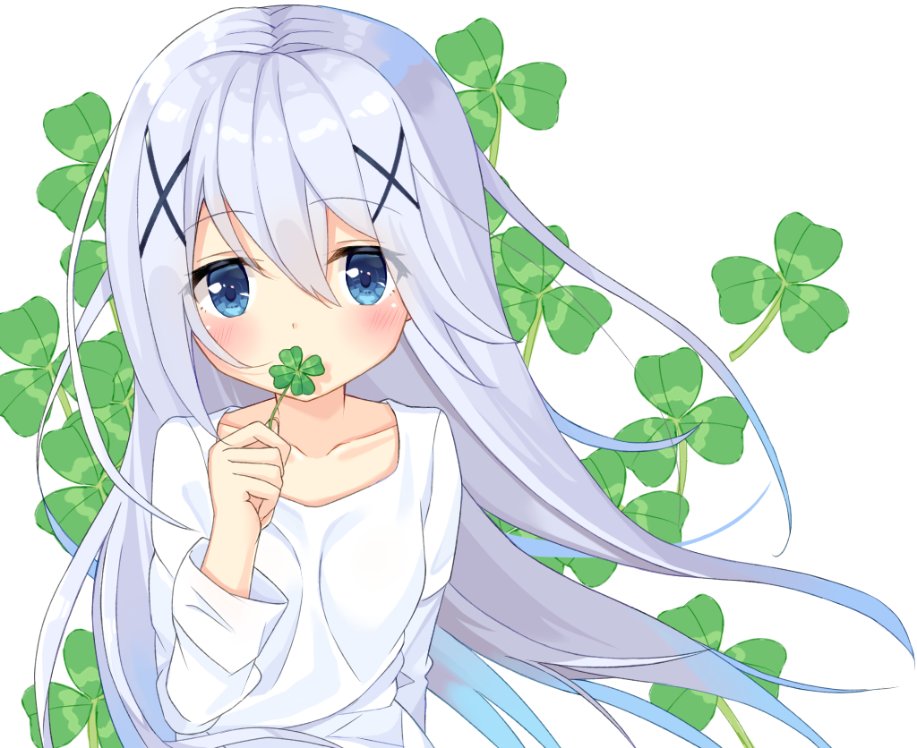 1girl bangs blue_eyes blush clover collarbone commentary_request covered_mouth eyebrows_visible_through_hair four-leaf_clover gochuumon_wa_usagi_desu_ka? hair_between_eyes hair_ornament holding kafuu_chino long_sleeves looking_at_viewer shirt silver_hair simple_background solo sutei_(xfzdarkt) white_background white_shirt x_hair_ornament
