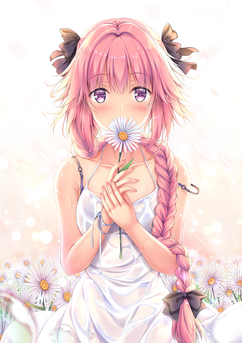 1boy astolfo_(fate) bangs bare_arms bare_shoulders black_bow black_bra black_ribbon blush bow bra braid collarbone covered_mouth covering_mouth dress eyebrows_visible_through_hair fate/apocrypha fate/grand_order fate_(series) field flower flower_field hair_between_eyes hair_bow hair_over_shoulder hair_ribbon highres holding holding_flower leaf long_hair looking_at_viewer male_focus multicolored_hair nail_polish petals pink_hair pink_nails ribbon see-through shiny shiny_hair sidelocks single_braid solo standing strap_slip streaked_hair sundress trap underwear very_long_hair violet_eyes wet wet_clothes wet_dress white_dress white_flower white_ribbon wind wrist_ribbon yuriko