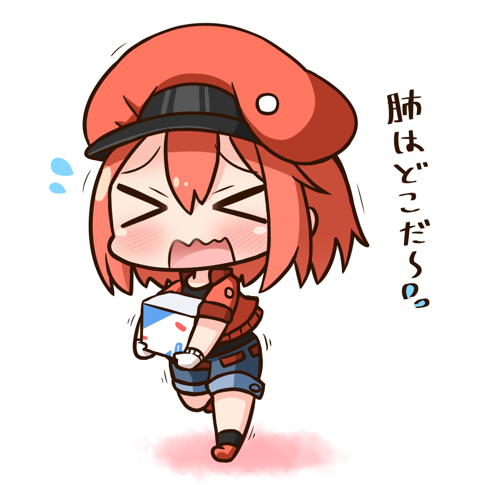 &gt;_&lt; 1girl ae-3803 bangs black_legwear black_shirt blue_shorts blush box cabbie_hat eyebrows_visible_through_hair facing_viewer flying_sweatdrops gloves hair_between_eyes hana_kazari hat hataraku_saibou holding holding_box jacket open_clothes open_jacket open_mouth red_blood_cell_(hatataku_saibou) red_footwear red_hat red_jacket redhead shirt short_shorts short_sleeves shorts socks solo standing standing_on_one_leg tears translated wavy_mouth white_background white_gloves