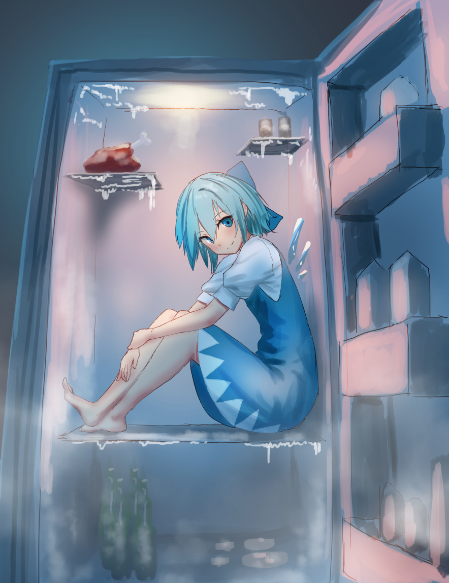 1girl barefoot blue_bow blue_dress blue_eyes blue_hair blush boned_meat bottle bow cirno commentary_request dress eyebrows_visible_through_hair fog food full_body hair_between_eyes hair_bow ice ice_wings knees_up looking_at_viewer meat puffy_short_sleeves puffy_sleeves refrigerator roke_(taikodon) short_hair short_sleeves sitting sketch smile solo touhou wings