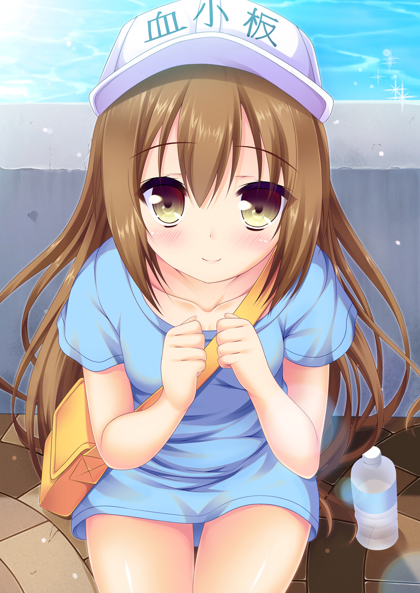 1girl bag bangs blue_shirt blush bottle breasts brown_eyes brown_hair character_name closed_mouth clothes_writing collarbone commentary_request day eyebrows_visible_through_hair flat_cap hair_between_eyes hands_up hat hataraku_saibou highres long_hair moyasi06_25 on_ground outdoors platelet_(hataraku_saibou) shirt short_sleeves shoulder_bag sitting small_breasts smile solo very_long_hair water water_bottle white_hat