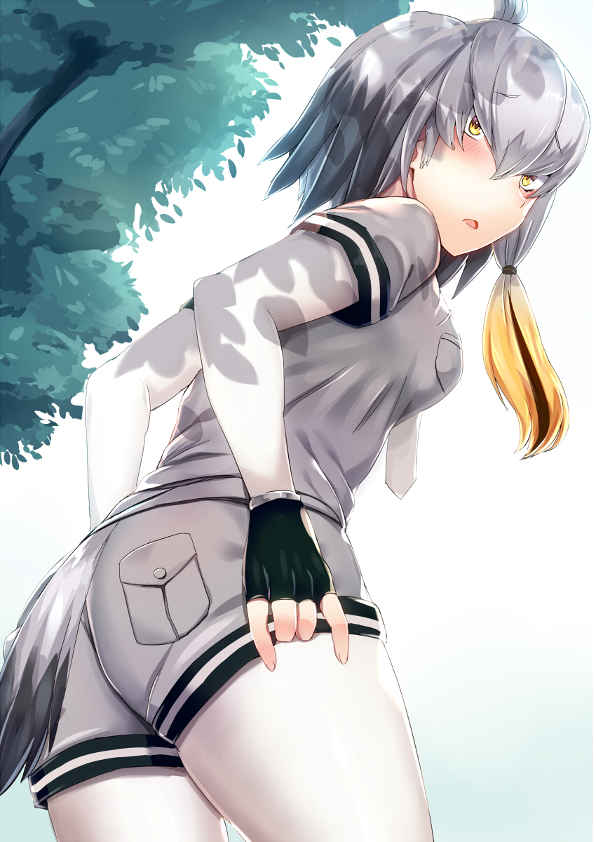 adjusting_clothes adjusting_shorts ass bangs bird_tail black_gloves black_hair blush bodystocking breast_pocket dappled_sunlight day embarrassed eyebrows_visible_through_hair fingerless_gloves from_behind gloves grey_hair grey_shirt grey_shorts hair_between_eyes highres kemono_friends long_hair long_sleeves looking_at_viewer looking_back low_ponytail multicolored_hair necktie open_mouth orange_hair outdoors pocket shade shinyashiki shirt shoebill_(kemono_friends) short_over_long_sleeves short_sleeves shorts side_ponytail sunlight tail tree tree_shade upper_body white_neckwear