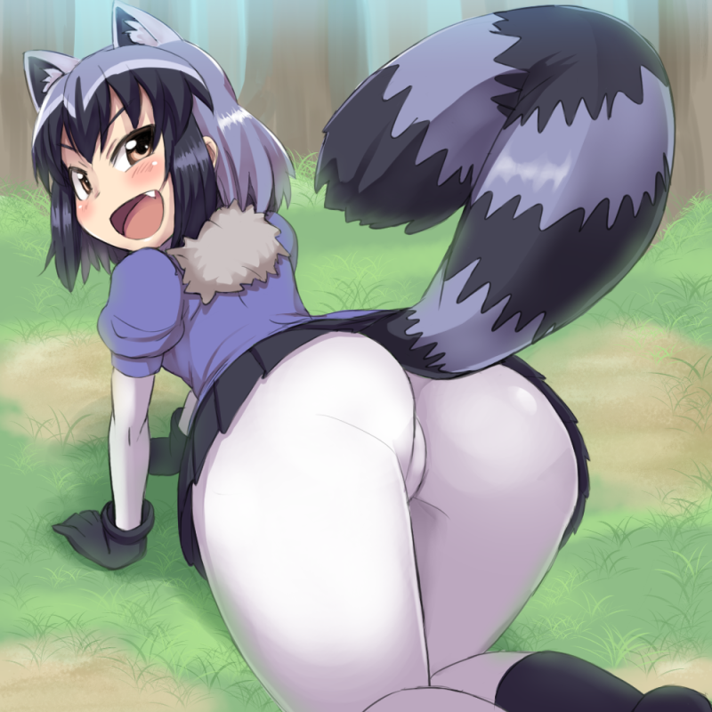 1girl :d all_fours animal_ears arched_back ass bangs black_gloves black_hair black_skirt blue_sweater blush bodystocking brown_eyes commentary_request common_raccoon_(kemono_friends) day extra_ears fang foreshortening from_behind fur_collar gloves grass grey_hair impossible_clothes kemono_friends long_sleeves looking_at_viewer microskirt multicolored_hair open_mouth outdoors pleated_skirt puffy_short_sleeves puffy_sleeves raccoon_ears raccoon_tail short_hair short_over_long_sleeves short_sleeves skin_tight skirt smile solo striped_tail subarutu sweater tail