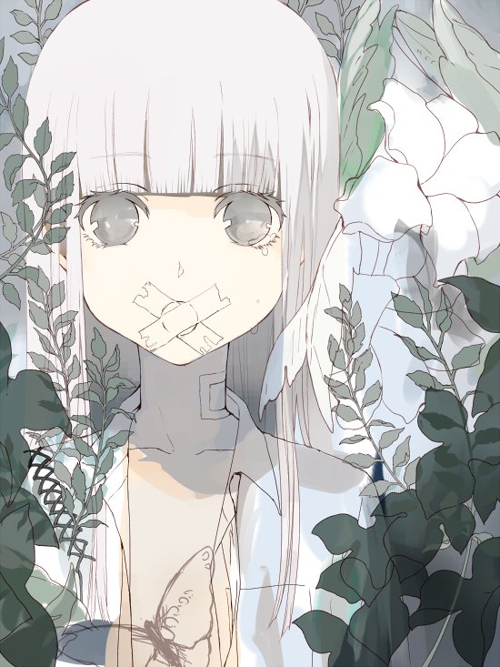 1girl bandaged_neck bangs blunt_bangs bug butterfly collared_shirt commentary_request eyebrows_visible_through_hair flower grey_eyes insect leaf long_hair open_clothes open_shirt original shirt solo tape tlla upper_body white_flower white_hair wing_collar