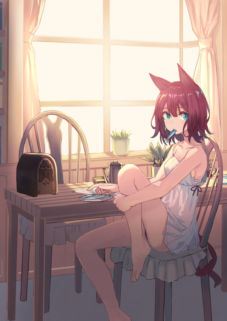 1girl animal_ears bangs bare_legs barefoot black_panties black_ribbon blue_eyes breasts cat_ears cat_tail collarbone commentary_request curtains day dress eating fish flower_pot food_in_mouth hair_between_eyes indoors knee_up looking_at_viewer medium_hair mouth_hold on_chair original panties pantyshot pantyshot_(sitting) peroncho plant plate potted_plant purple_hair radio ribbon sideboob sitting sleeveless sleeveless_dress small_breasts solo sunlight tail underwear upskirt white_dress window
