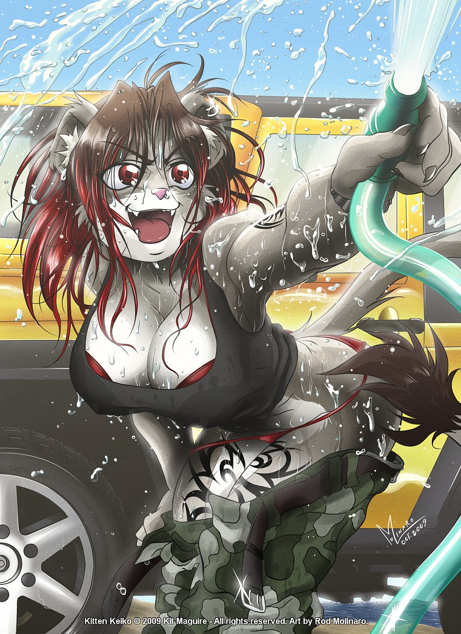 animal_ears black_hair breasts furry highres large_breasts red_eyes redhead tail