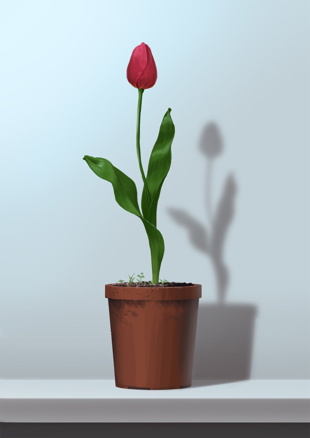 drop_shadow flower flower_pot grey_background highres leaf mitsu_ura no_humans original plant potted_plant red_flower still_life tulip
