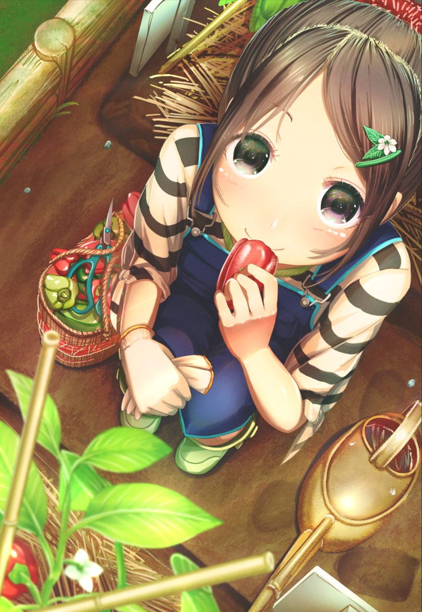 1girl abo_(kawatasyunnnosukesabu) basket bell_pepper black_eyes black_hair brown_hair commentary_request eating flower food from_above gloves gloves_removed hair_flower hair_ornament hairclip highres holding_glove holding_vegetable looking_at_viewer looking_up original overalls pepper plant scissors shirt shoes sitting smile solo striped striped_shirt tied_sleeves vegetable watering_can white_gloves