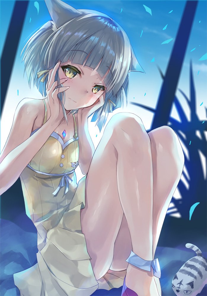 1girl animal_ears bangs blunt_bangs blush cat_ears dress dress_swimsuit embarrassed hinot looking_at_viewer nintendo niyah short_hair silver_hair simple_background smile solo swimsuit xenoblade_(series) xenoblade_2 yellow_eyes