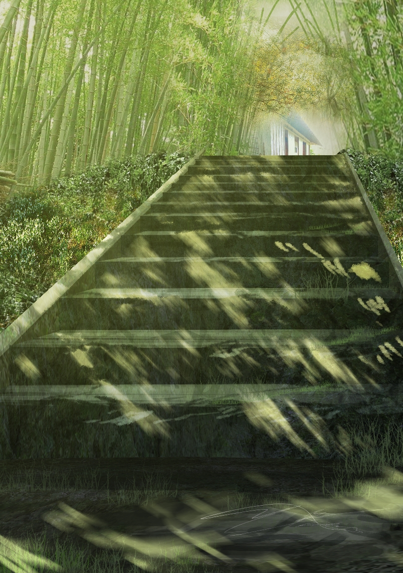 bamboo bamboo_forest dappled_sunlight forest from_below grass green house nature no_humans original path road scenery stairs sunlight umi78992161