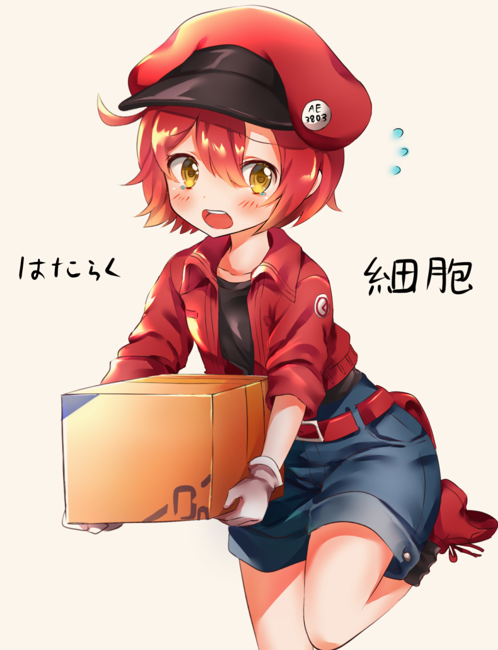 1girl ae-3803 bangs belt_buckle black_legwear black_shirt blue_shorts blush box brown_background brown_eyes buckle cabbie_hat cardboard_box character_name collarbone commentary_request eyebrows_visible_through_hair flying_sweatdrops gloves hair_between_eyes hat hataraku_saibou highres holding holding_box jacket melynx_(user_aot2846) open_clothes open_jacket red_belt red_blood_cell_(hataraku_saibou) red_footwear red_hat red_jacket redhead shirt shoes short_shorts short_sleeves shorts simple_background socks solo tears translated white_gloves
