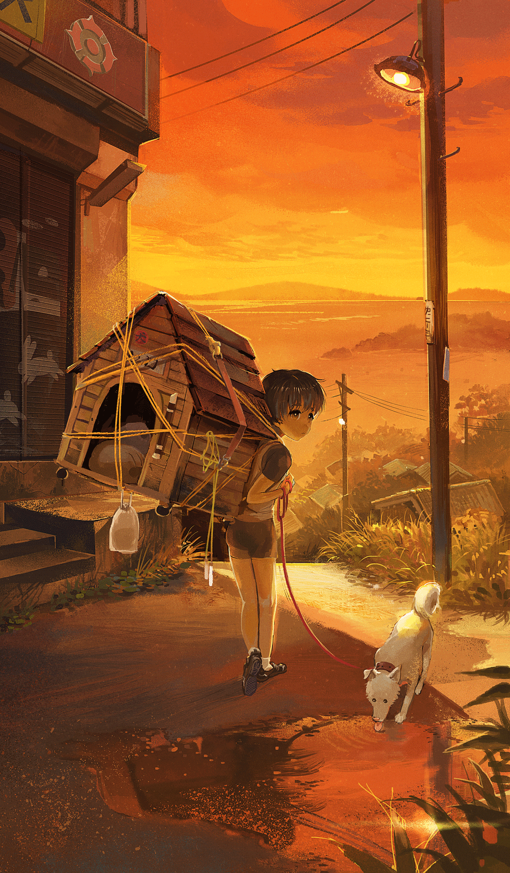 1boy backpack bag bayashiko black_eyes commentary_request dog doghouse food fruit grass grey_shorts highres lamppost leash looking_back male_focus nature orange orange_sky original outdoors power_lines puddle scenery shoes short_hair shorts sky socks solo standing sunset telephone_pole walking white_legwear