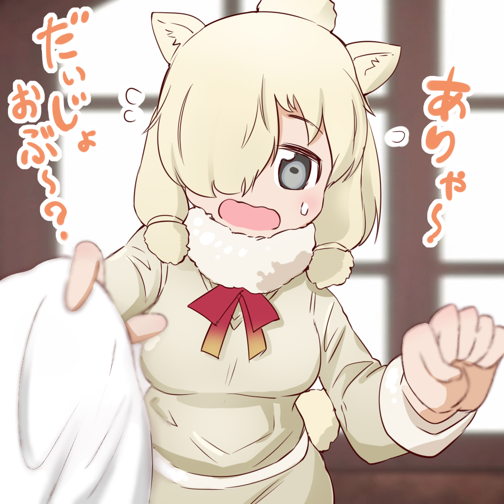 111192 1girl alpaca_ears alpaca_suri_(kemono_friends) alpaca_tail animal_ears blue_eyes blurry blush check_translation commentary_request depth_of_field eyebrows_visible_through_hair flustered flying_sweatdrops fur_collar hair_over_one_eye hair_tubes kemono_friends long_sleeves looking_at_viewer neck_ribbon open_mouth rag ribbon short_hair shorts solo sweatdrop sweater tail translated wavy_mouth white_hair