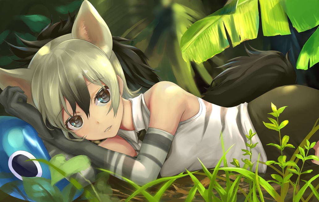 1girl aardwolf_(kemono_friends) aardwolf_ears aardwolf_tail animal_ears bare_shoulders black_hair black_shorts cerulean_(kemono_friends) collared_shirt commentary_request dappled_sunlight day elbow_gloves extra_ears eyebrows_visible_through_hair gloves gradient_hair grey_eyes grey_hair hair_between_eyes hands_up head_rest kemono_friends light_smile long_hair looking_at_viewer lying multicolored_hair necktie on_side one-eyed outdoors parted_lips ponytail shirt shorts sleeveless sleeveless_shirt solo_focus sunlight tail tamamushi two-tone_hair upper_body wing_collar