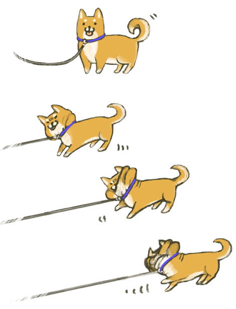 collar comic dog leash no_humans noja pet pull pulling shiba_inu simple_background tail tail_wag tail_wagging wagging white_background