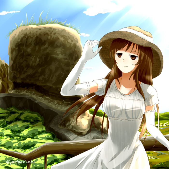 1girl adjusting_clothes adjusting_hat bangs blue_sky breasts brown_eyes brown_hair brown_hat closed_mouth clouds cloudy_sky commentary_request day dress elbow_gloves gloves half-closed_eyes hand_up hat helena_havel horizon landscape large_breasts light_smile long_hair looking_afar nature outdoors railing short_sleeves sky solo standing sun_hat sundress twitter_username ukagaka white_gloves wind wind_lift