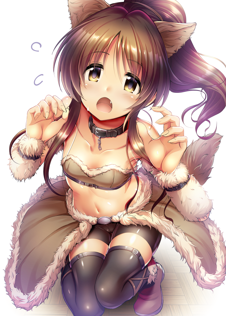 1girl animal_ears bike_shorts black_legwear black_shorts bra breasts brown_bra brown_eyes brown_hair brown_skirt collar collarbone eyebrows_visible_through_hair fang fingernails floating_hair hair_between_eyes idolmaster idolmaster_cinderella_girls long_hair looking_at_viewer ment one_knee open_mouth ponytail sharp_fingernails shiny shiny_clothes shorts showgirl_skirt sidelocks simple_background skirt small_breasts solo strapless strapless_bra tail takamori_aiko thigh-highs underwear white_background wolf_ears wolf_tail zettai_ryouiki