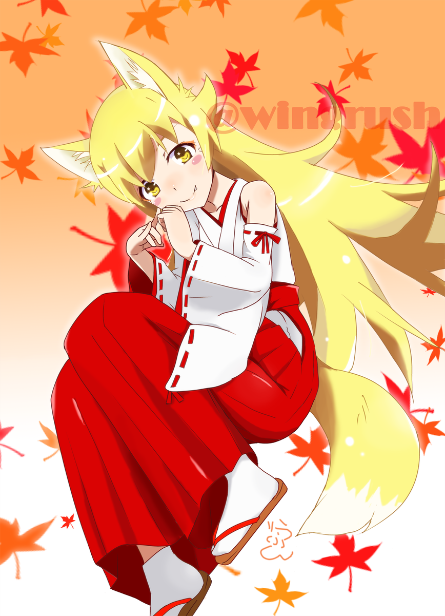 animal_ear_fluff animal_ears bakemonogatari blonde_hair blush detached_sleeves extra_ears fang fooring fox fox_ears fox_tail hair_between_eyes hakama highres japanese_clothes leaf long_hair looking_at_viewer maple_leaf monogatari_(series) oshino_shinobu red_hakama ribbon_trim sandals tabi tail twitter_username yellow_eyes