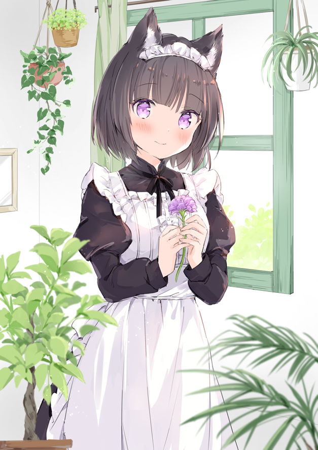 1girl apron bangs black_dress black_hair black_ribbon blush closed_mouth commentary_request day dress eyebrows_visible_through_hair flower holding holding_flower indoors juliet_sleeves komugi_(wataame27) long_sleeves looking_at_viewer maid maid_apron maid_headdress neck_ribbon original plant potted_plant puffy_sleeves purple_flower ribbon short_hair smile solo violet_eyes wataame27 white_apron window