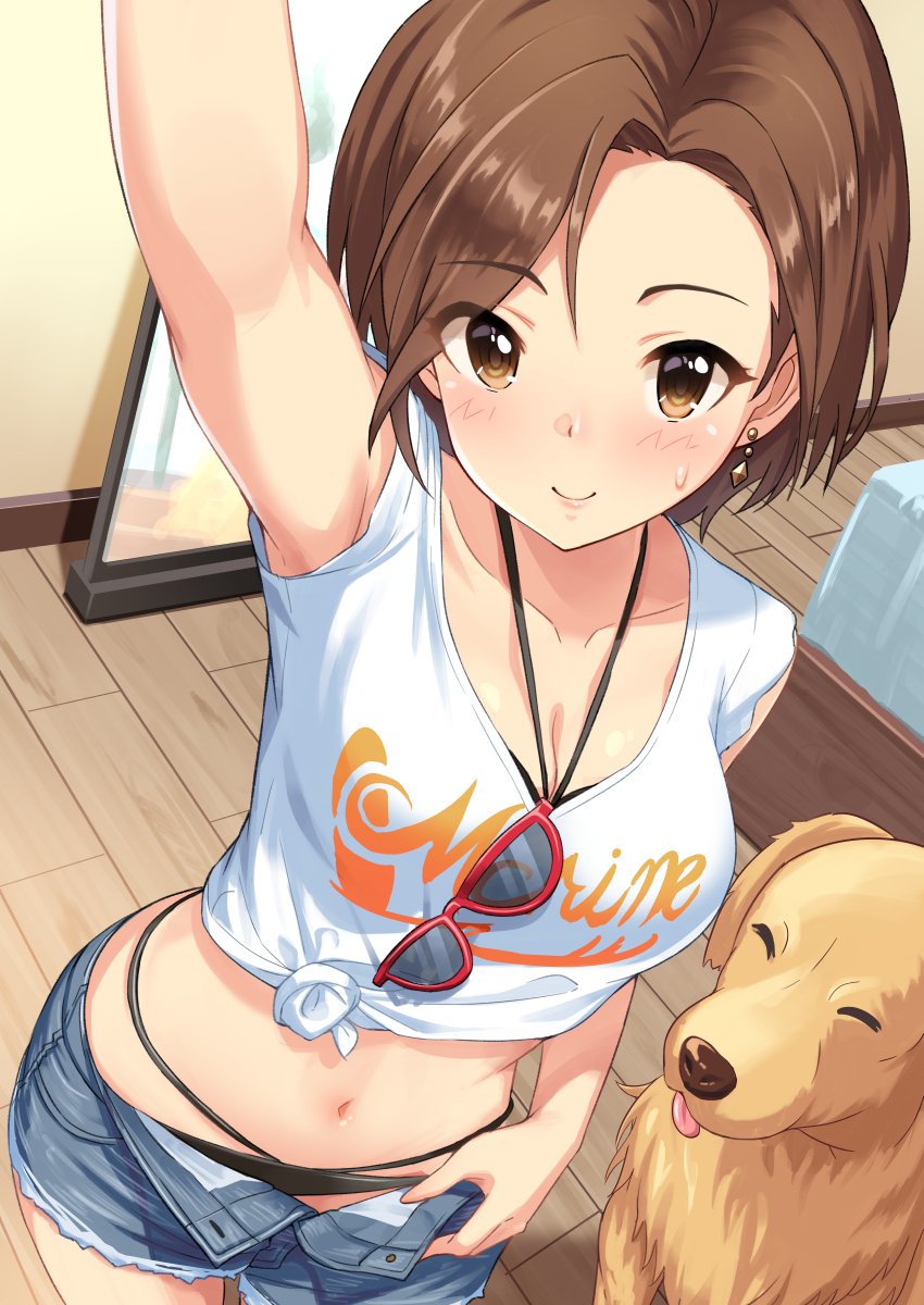 1girl arm_up armpits bangs bikini bikini_under_clothes breasts brown_eyes brown_hair cowboy_shot crop_top cutoffs denim denim_shorts dog earrings eyebrows_visible_through_hair foreshortening halterneck highres idolmaster idolmaster_cinderella_girls indoors jewelry looking_at_viewer medium_breasts midriff mizuki_seira multi-strapped_bikini navel open_fly open_pants parted_bangs self_shot shirt short_hair short_shorts shorts smile solo sunglasses sweatdrop swimsuit t-shirt tamakaga tied_shirt