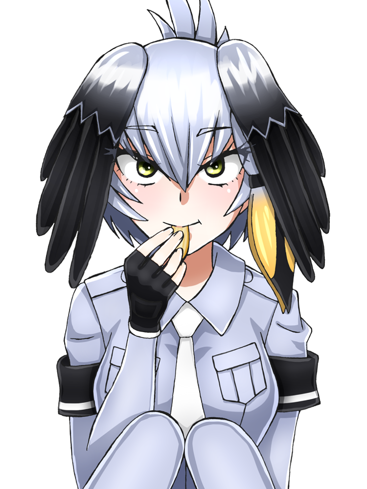 1girl :t bangs bickle_(bickle1983) black_gloves bodystocking breast_pocket commentary_request eating eyebrows_visible_through_hair eyes_visible_through_hair fingerless_gloves gloves green_eyes grey_hair grey_shirt hair_between_eyes head_wings kemono_friends knees_to_chest looking_at_viewer necktie pocket revision sanpaku shirt shoebill_(kemono_friends) short_sleeves simple_background smile solo upper_body white_background white_legwear