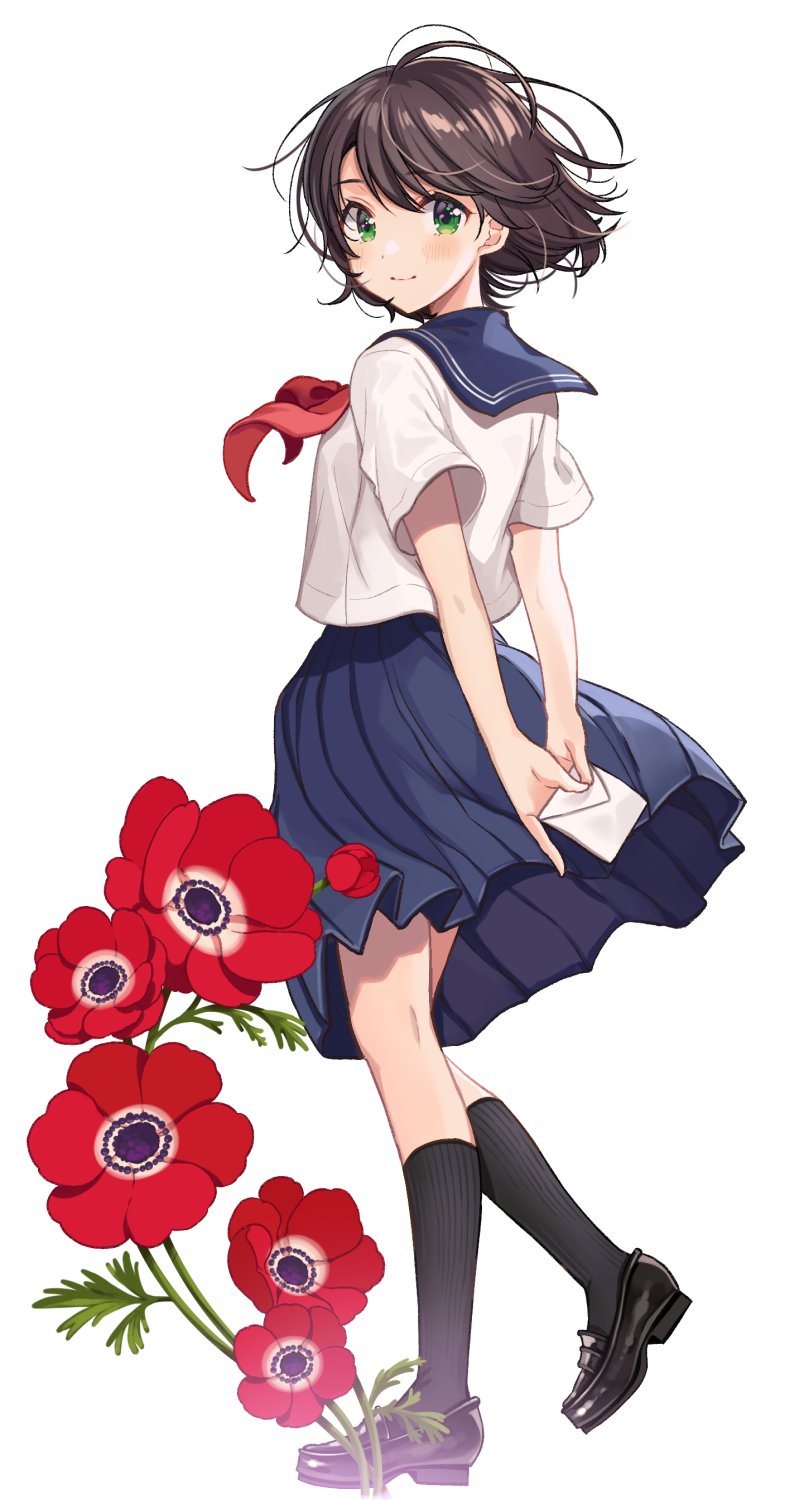 1girl anemone_(flower) arms_behind_back black_footwear black_legwear blue_sailor_collar blue_skirt blush brown_hair envelope floating_hair flower from_side full_body green_eyes highres holding holding_letter kneehighs letter loafers looking_at_viewer looking_back neckerchief original pleated_skirt red_flower red_neckwear sailor_collar school_uniform serafuku shigure_ui shiny shiny_hair shirt shoes short_hair short_sleeves simple_background skirt smile solo standing white_background white_shirt