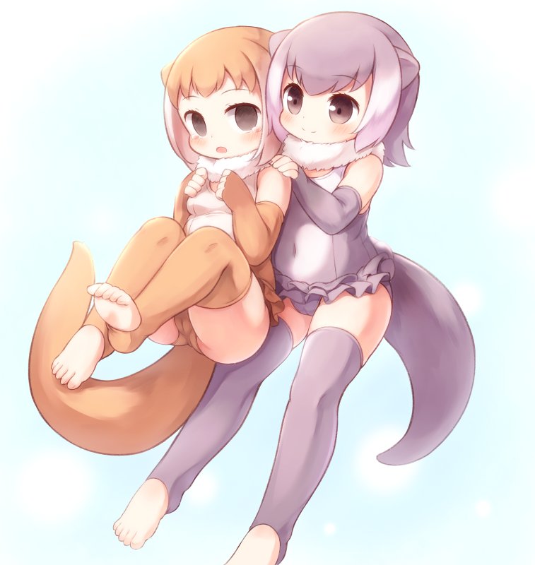 2girls animal_ears bangs bare_shoulders barefoot blue_background blush brown_hair brown_legwear brown_swimsuit commentary_request elbow_gloves eyebrows_visible_through_hair eyelashes frilled_swimsuit frills fur_collar gloves grey_hair grey_legwear grey_swimsuit hands_on_another's_shoulders hollow_eyes japanese_otter_(kemono_friends) kemono_friends light_smile matsuu_(akiomoi) medium_hair multicolored_hair multiple_girls navel one-piece_swimsuit open_mouth otter_ears otter_tail small-clawed_otter_(kemono_friends) swimsuit tail tareme thigh-highs toeless_legwear white_hair zettai_ryouiki