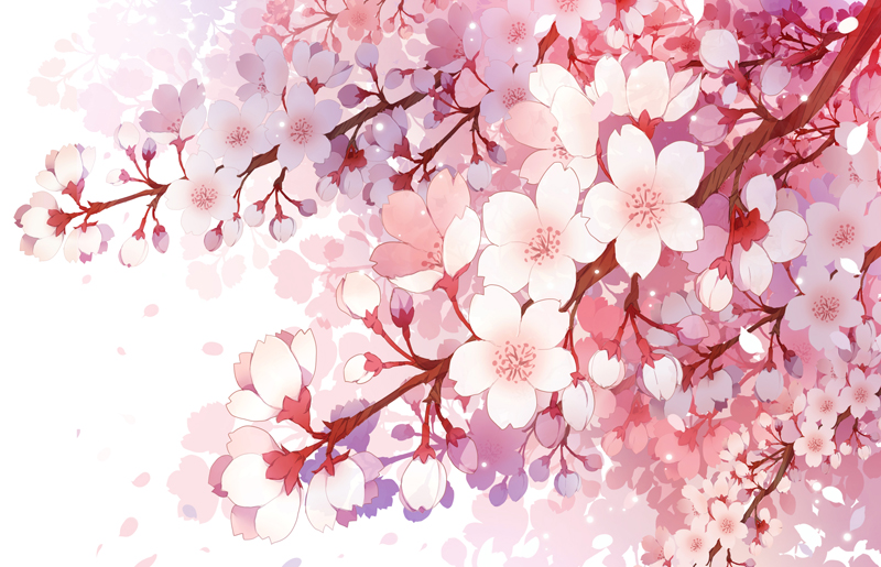 branch cherry_blossoms close-up commentary_request flower gradient no_humans original petals pink_flower pink_petals simple_background white_background white_flower white_petals wind