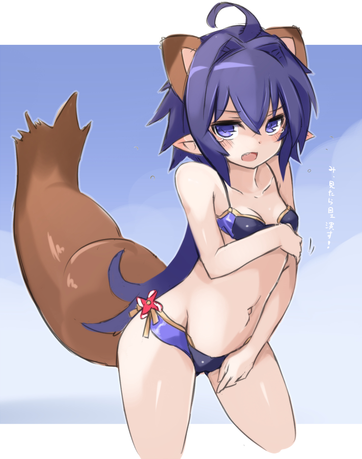 1girl ahoge animal_ears bikini blue_background blue_bikini blush breasts crying crying_with_eyes_open extra_ears karukan_(monjya) legs_crossed long_hair looking_at_viewer matsuhime_mujina navel open_mouth pointy_ears purple_hair raccoon_ears raccoon_tail shinrabanshou small_breasts solo swimsuit tail tears translation_request two-tone_background violet_eyes white_background