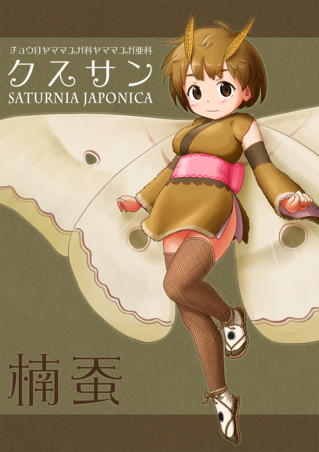 1girl antennae blush brown_background brown_eyes brown_hair closed_mouth commentary_request detached_sleeves fishnet_legwear fishnets insect_girl japanese_clothes kimono kimono_skirt li_yang_(liyan6464) long_sleeves looking_at_viewer moth_girl moth_wings obi original personification sandals sash scientific_name short_hair smile solo thigh-highs translation_request wings