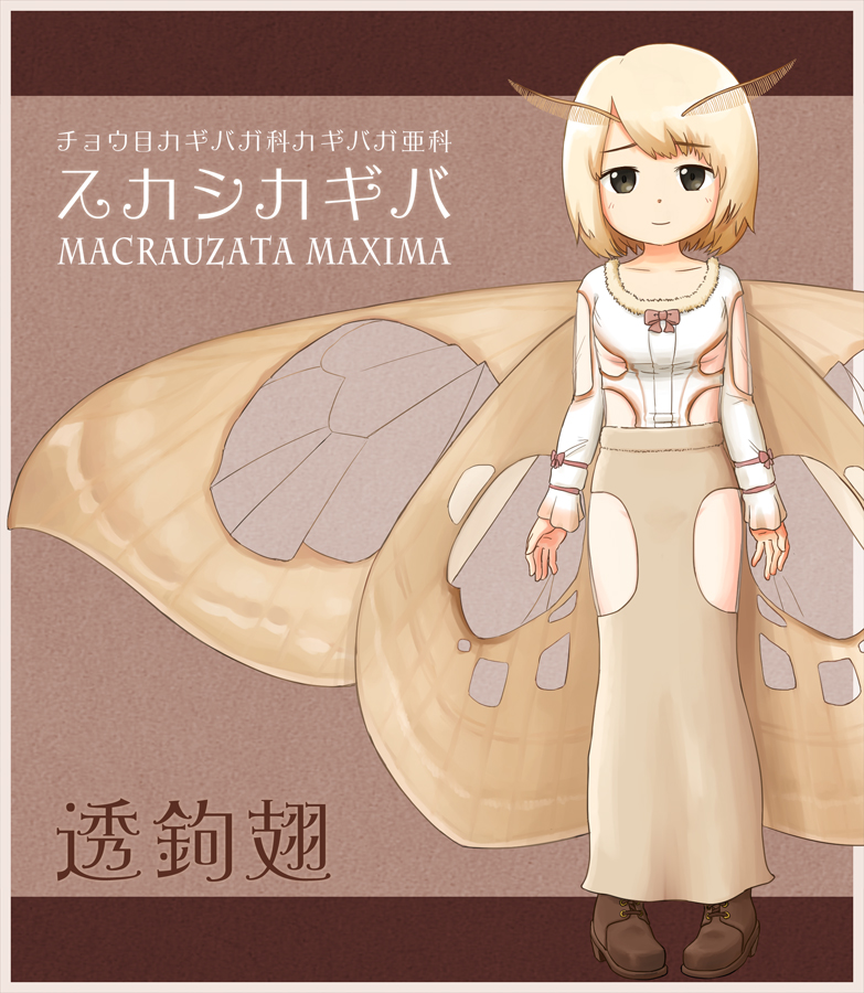 1girl antennae arms_at_sides black_eyes blonde_hair blush border brown_footwear brown_skirt closed_mouth collarbone commentary_request eyebrows_visible_through_hair fur_trim insect_girl li_yang_(liyan6464) long_skirt long_sleeves looking_at_viewer moth_girl moth_wings original personification pigeon-toed scientific_name shirt short_hair skirt smile solo standing translation_request white_shirt wings