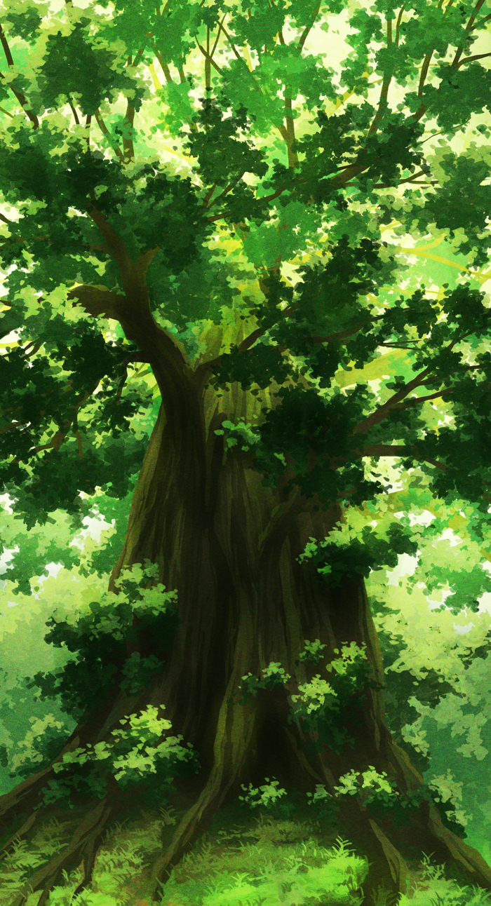 aoha_(twintail) commentary_request day forest grass highres nature no_humans original outdoors scenery tree
