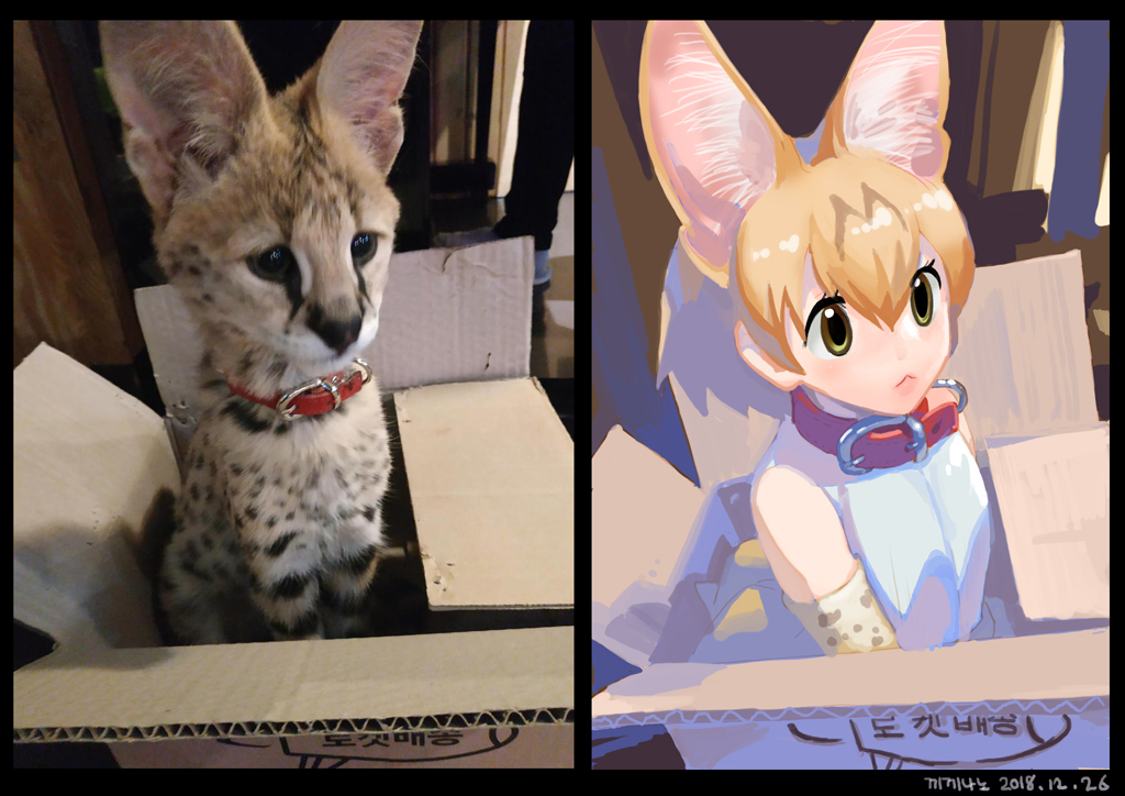 1girl :&lt; animal_ears bangs bare_shoulders belt_collar black_border blonde_hair border box cardboard_box closed_mouth collar commentary_request dated green_eyes hair_between_eyes in_box in_container kemono_friends korean_commentary no_nose photo-referenced reference_photo roonhee serval serval_(kemono_friends) serval_ears serval_print shirt short_hair signature sitting sleeveless sleeveless_shirt solo white_shirt