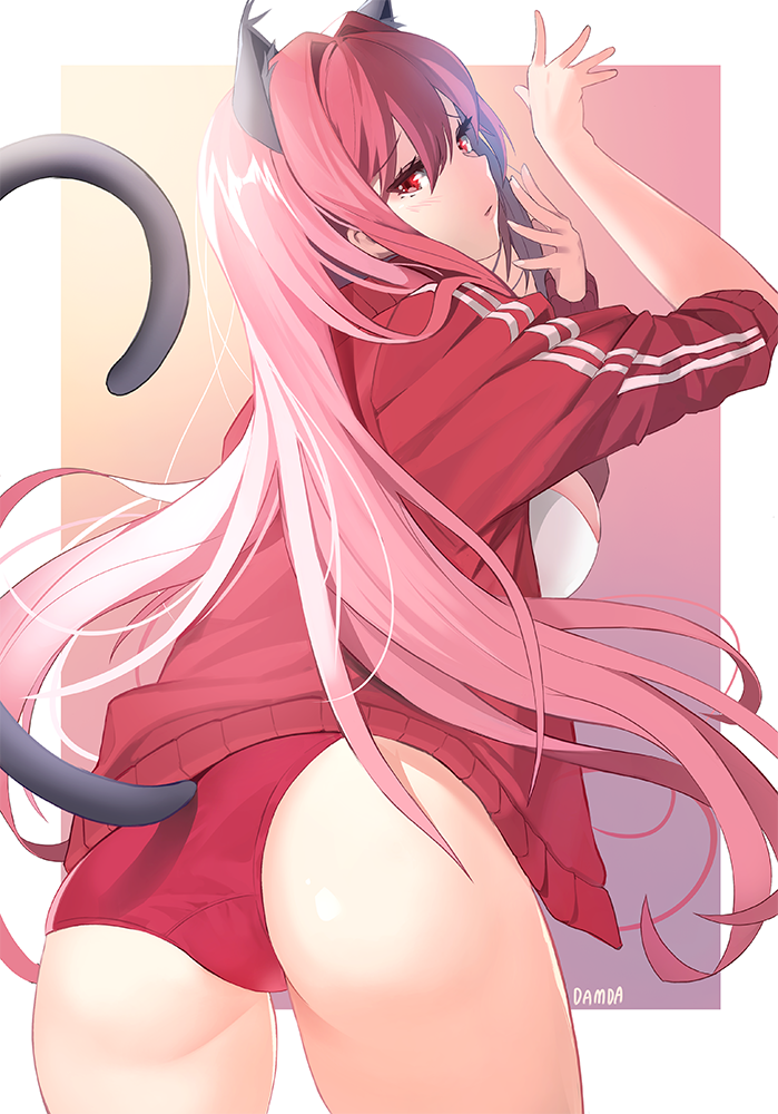 1girl alternate_costume animal_ears artist_name ass bloomers blush breasts cat_ears cat_tail curled_tail damda eyebrows_visible_through_hair fate/grand_order fate_(series) gradient gradient_background gym_uniform hair_intakes hand_up jacket large_breasts light_blush long_hair looking_at_viewer looking_back open_mouth outstretched_arms pink_hair red_eyes scathach_(fate)_(all) scathach_(fate/grand_order) solo tail track_jacket underwear