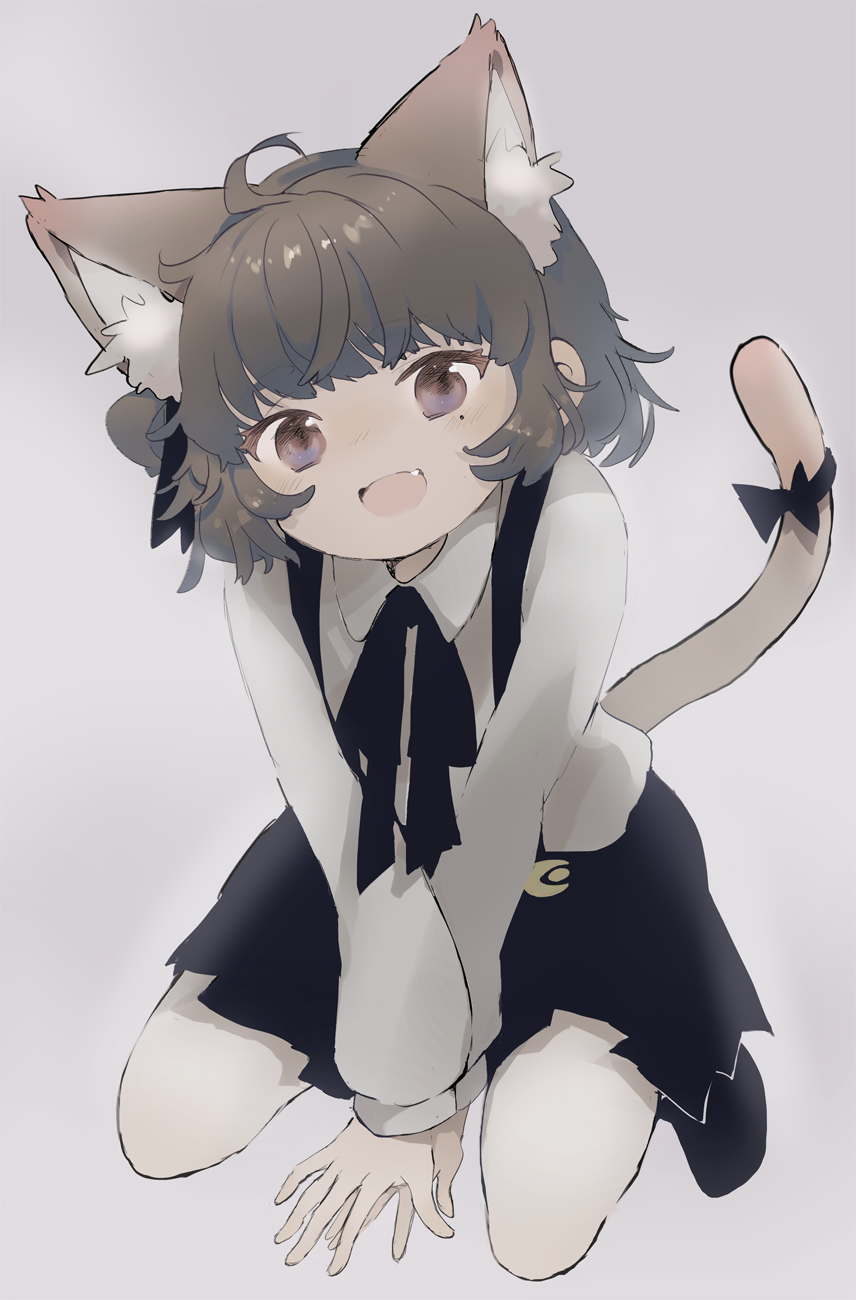 1girl :d ahoge animal_ears bangs between_legs black_bow black_ribbon black_skirt blush bow brown_eyes brown_hair cat_ears cat_girl cat_tail collared_shirt eyebrows_visible_through_hair fang full_body grey_background hand_between_legs hatoba_tsugu hatoba_tsugu_(character) head_tilt highres kemonomimi_mode mole mole_under_eye open_mouth pantyhose ribbon sha2mo shirt skirt smile solo suspender_skirt suspenders tail tail_raised virtual_youtuber white_legwear white_shirt