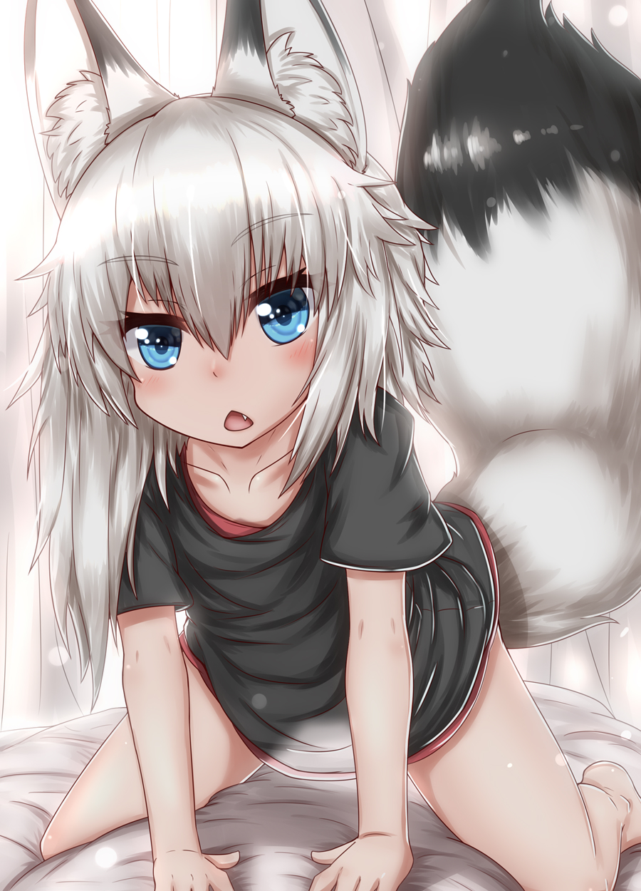 1girl animal_ear_fluff animal_ears bare_legs barefoot bed bed_sheet black_shirt blue_eyes chestnut_mouth collarbone commentary fang fox_ears fox_tail highres horokusa_(korai) long_hair no_pants on_bed original pov see-through_silhouette shirt short_sleeves silver_hair straddling tail