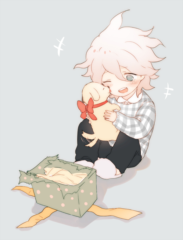 1boy ahoge animal animal_ears black_legwear blush child commentary_request dangan_ronpa dangan_ronpa_3 dog dog_ears dog_tail eyebrows_visible_through_hair face_licking full_body fur gift hair_between_eyes happy holding holding_animal komaeda_nagito licking long_sleeves male_focus one_eye_closed pants plaid plaid_sweater puppy red_ribbon ribbon shell_(shell518) shoes simple_background sitting super_dangan_ronpa_2 sweater tail upper_teeth white_footwear white_hair