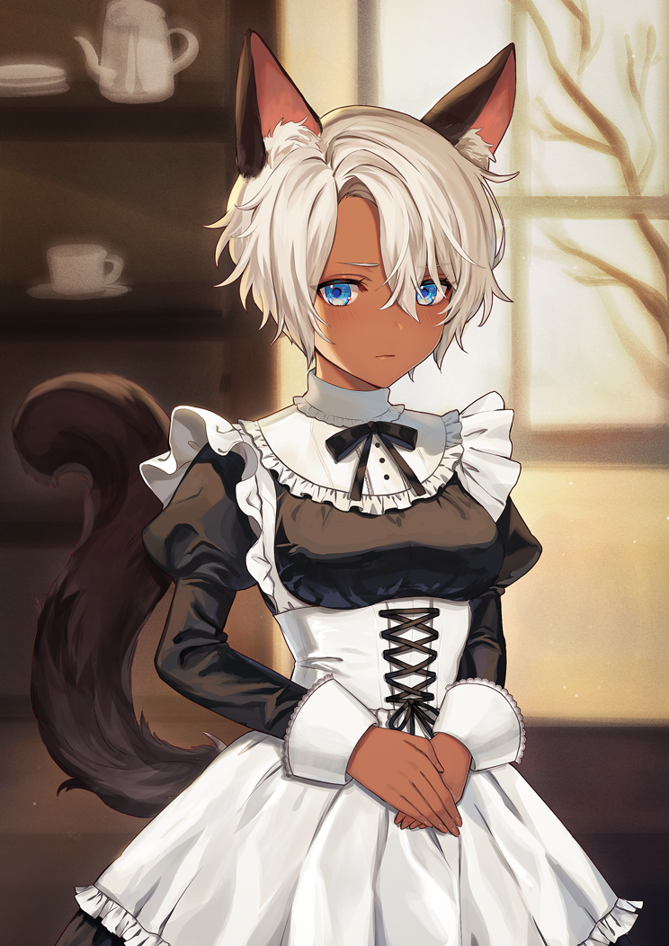 1girl animal_ears apron black_ribbon blue_eyes blush bookshelf breasts cat_ears cat_girl cat_tail closed_mouth collar commentary_request corset cup dark_skin dress frilled_shirt_collar frills hands_together indoors juliet_sleeves long_sleeves looking_at_viewer maid maid_apron medium_breasts neck_ribbon original puffy_sleeves ribbon short_hair solo standing tail teacup teapot underbust upper_body white_apron white_hair window yakibird